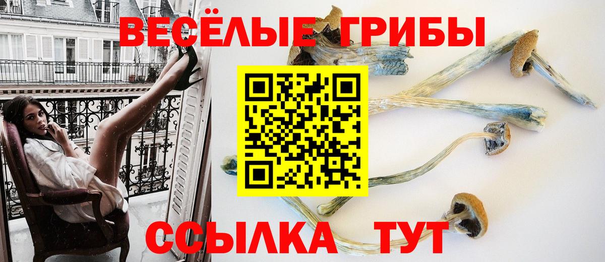 Алапаевск  хочу наркоту  Вход с VPN  Галлюциногенные грибы Psilocybine cubensis 