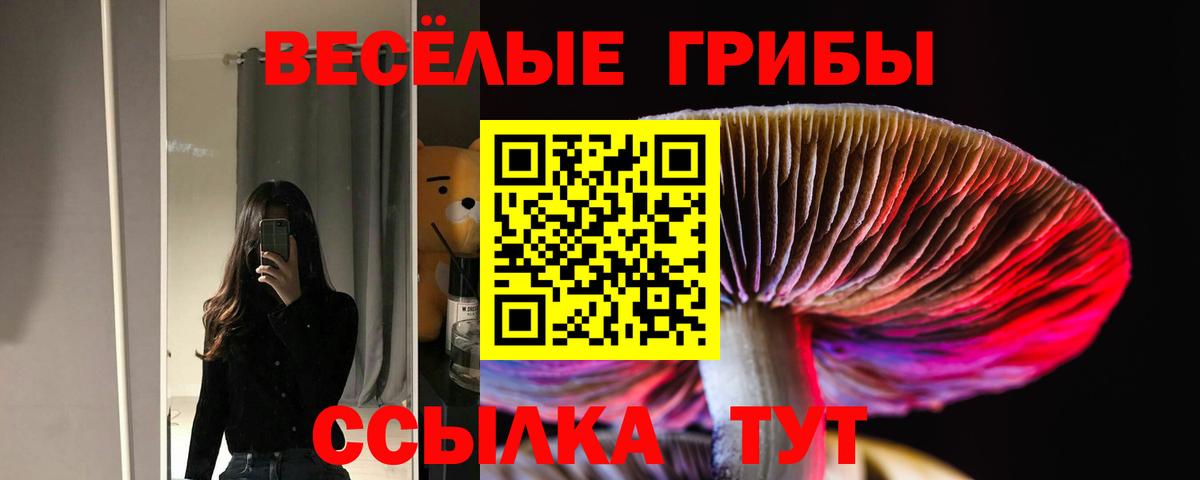 Галлюциногенные грибы Magic Shrooms Алапаевск